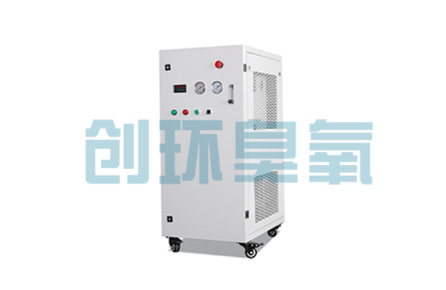 台州比传统换水更高效?臭氧发生器在石斑鱼养殖中的水质净化原理解析